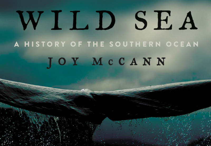 Wild Sea : A history of the Southern Ocean